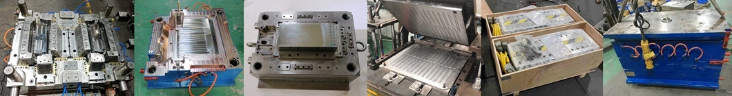 Custom Insert Mold Overmolding Punching Stamping Die Plastic Injection Mold for Auto Parts