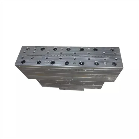 1st Foaming Mold for Cabinet & Door of Refrigeration