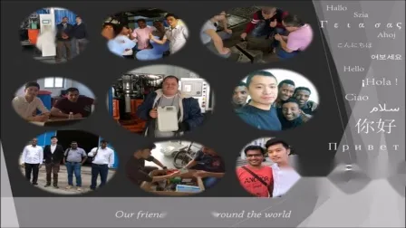 Economic Multiple Cavities Motor Oil Bottle Mould